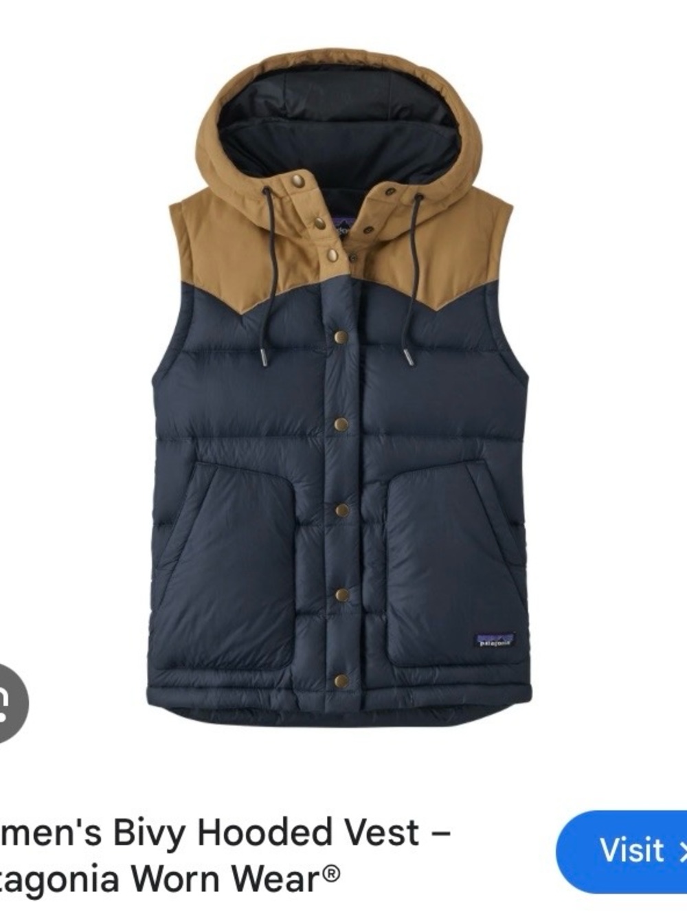 Patagonia Hooded Puffer Vest in Navy and Brown